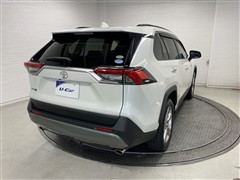 RAV4 G