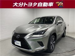 NX300h バージョンL