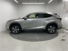 NX300h バージョンL