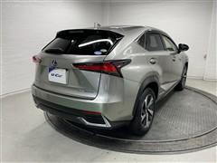 NX300h バージョンL