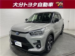 ライズ ハイブリッドZ