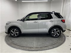 ライズ ハイブリッドZ