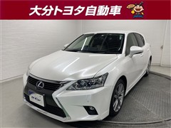 CT200h クールツーリングスタイル