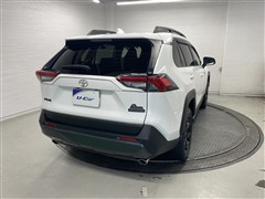 RAV4 アドベンチャー オフロート
