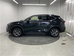 NX300h Fスポーツ