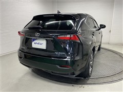 NX300h Fスポーツ