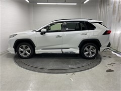 RAV4 G