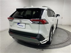RAV4 G