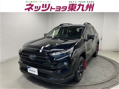 トヨタ RAV4 HVアドベ オフロード2