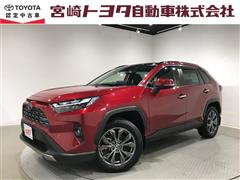 ＲＡＶ４