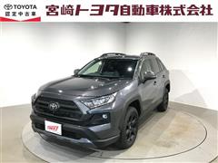 RAV4 アドベンチャー オフロート
