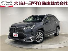 RAV4 G Zパッケージ