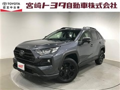 RAV4 アドベンチャー オフロート