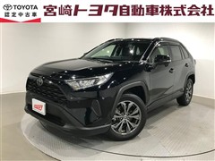 RAV4 X