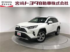 RAV4 G