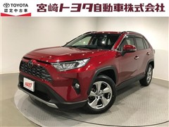 RAV4 G