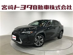 UX300e バージョンL