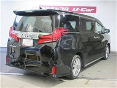 アルファードS タイプゴールド3