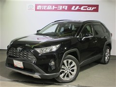 RAV4 G Zパッケージ