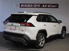 RAV4 HV G