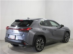 UX250h バージョンC