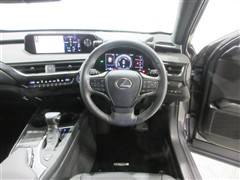 UX250h バージョンC