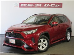 RAV4 X