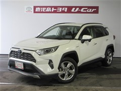 RAV4 HV G