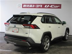 RAV4 HV G