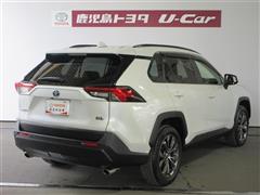 RAV4 HV X