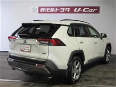 RAV4 HV G
