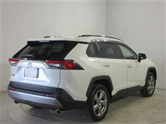RAV4 G