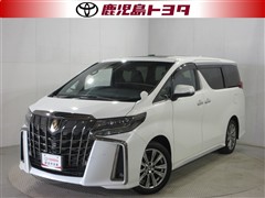 アルファード Sタイプゴールド3