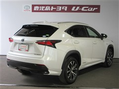 NX300h Fスポーツ