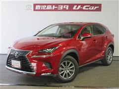 NX300h Iパッケージ