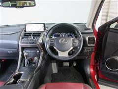 NX300h Iパッケージ