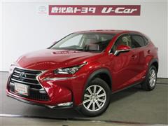NX300h Iパッケージ