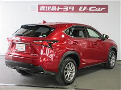 NX300h Iパッケージ