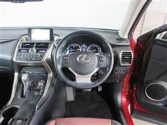 NX300h Iパッケージ