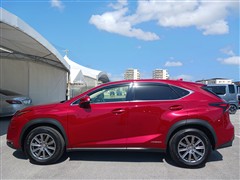 NX300h Iパッケージ