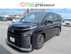 トヨタ ヴォクシー S-G