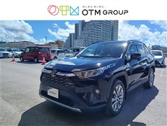 ＲＡＶ４