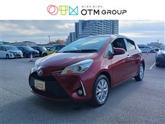 ヴィッツ HEV Fアミー