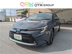 カローラツーリングHEV WXB