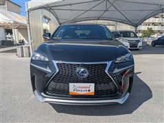 NX300h Fスポーツ