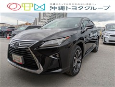 RX450h ヒョウジュンシャ