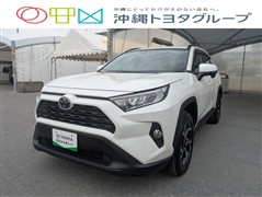 RAV4 X