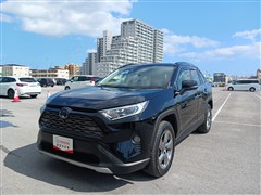 RAV4 HEV G