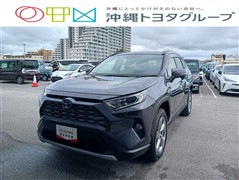 トヨタ RAV4 HEV G