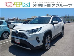 RAV4 HEV G